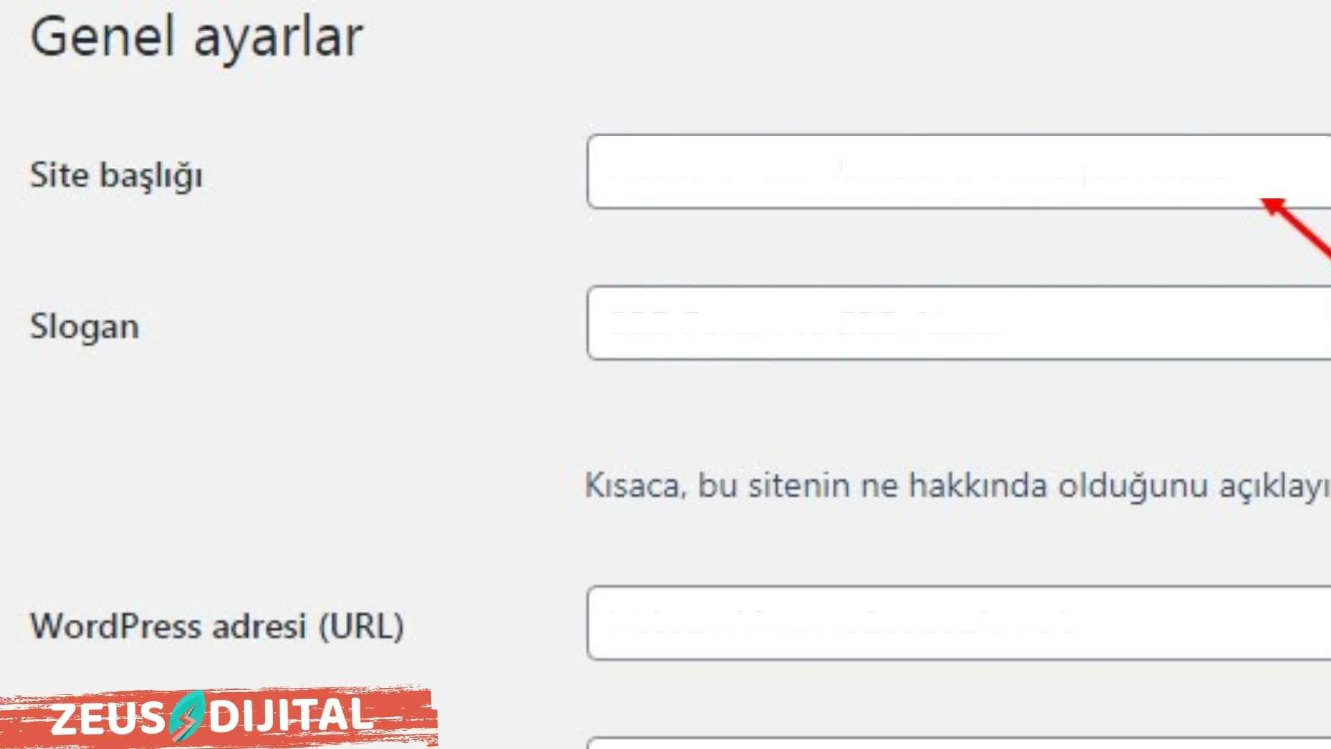 Site Başlığı ve Sloganı Değiştirme