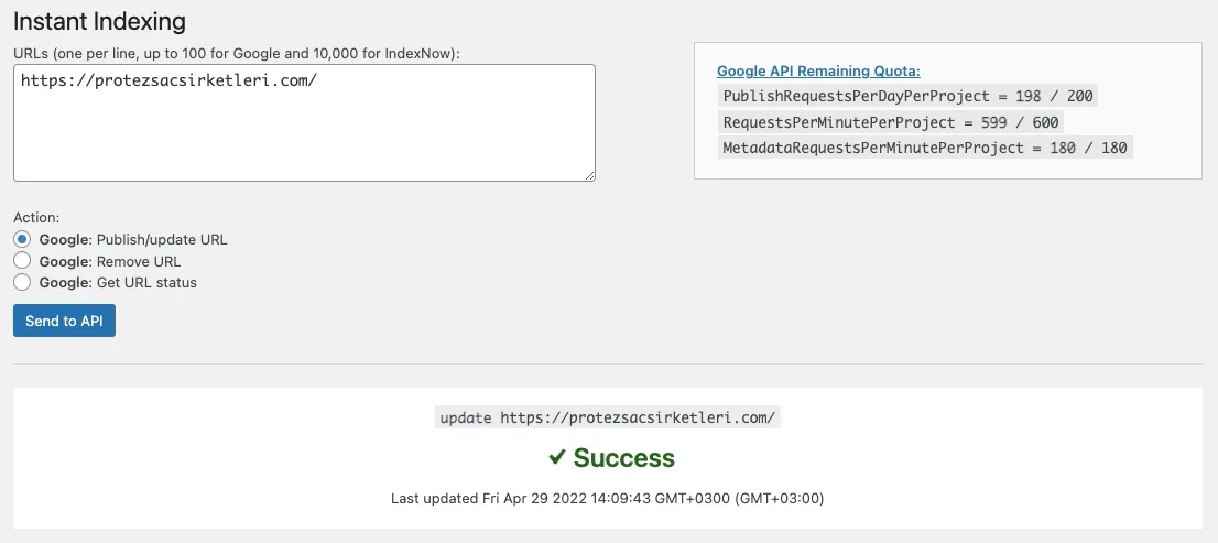 Google Index API Index success