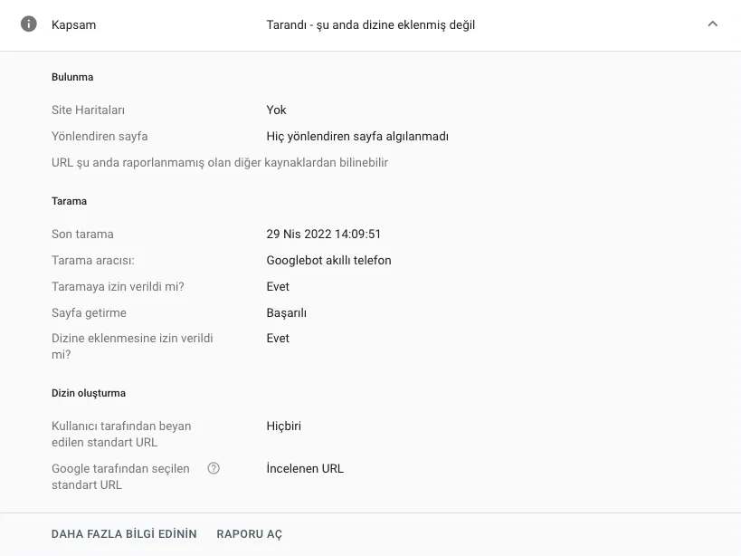 Search Console sonuç sayfası