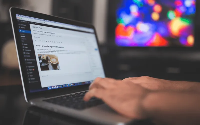 Sitenin Temasını Değiştirmek SEO’yu Etkiler Mi?