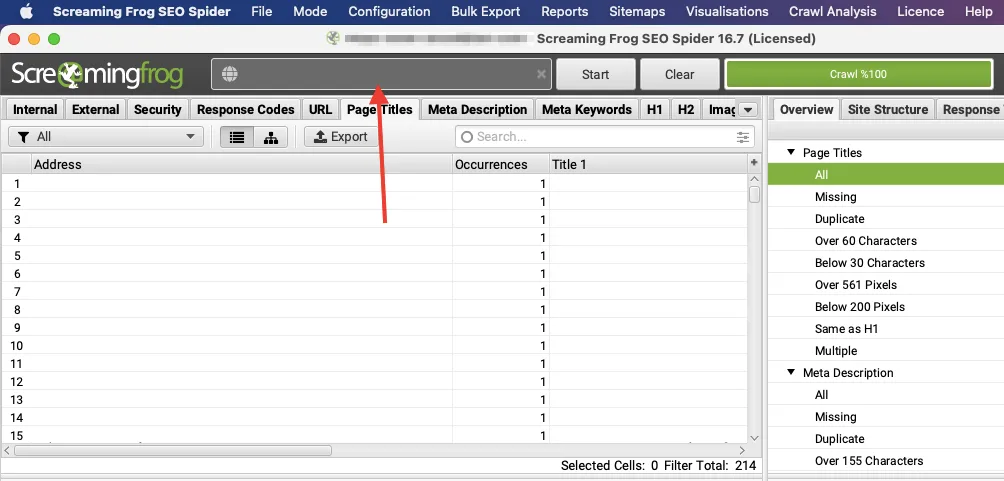Screaming Frog SEO Crawl