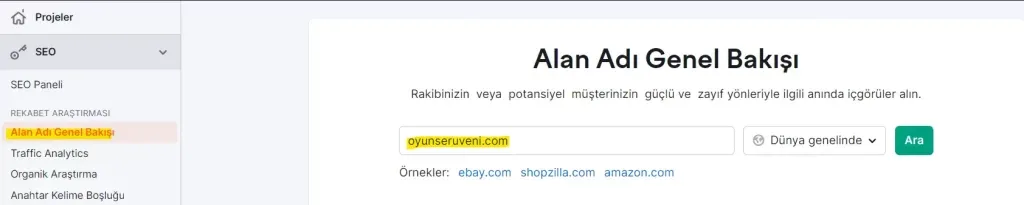 Alan Adı Genel Bakışı