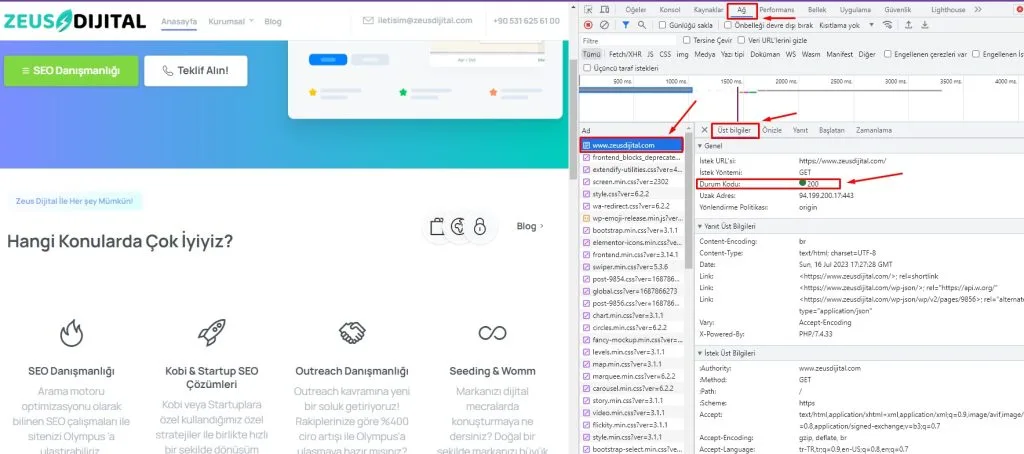 chrome uzerinden http status durum kodlari kontrolu 1024x454