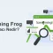 Screaming Frog SEO Aracı Nedir? Nasıl Kullanılır? (A’dan Z’ye Rehber)